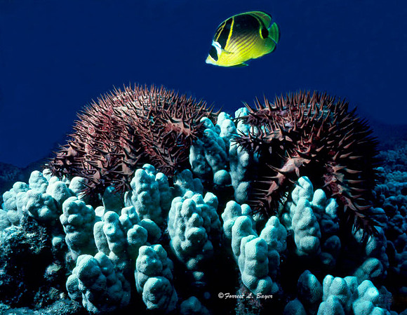 Lapaz Mexico