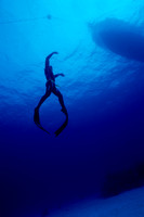 Free Diving  Shot Grand Cayman