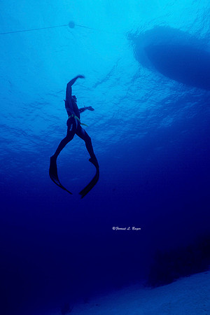 Free Diving  Shot Grand Cayman